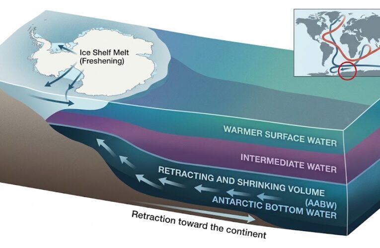 The Deep Ocean’s Warning: Antarctica’s Coldest Waters are Warming and Shrinking