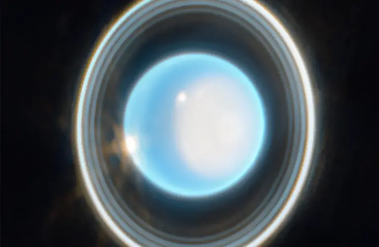 A Tale of Two Rings: Why Uranus’s Faintest Orbits Are Different Colors