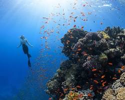 The Ocean’s Secret Greenhouse Gas: A New Climate Discovery