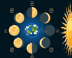 The Dance of Light: A Guide to the 8 Phases of the Moon