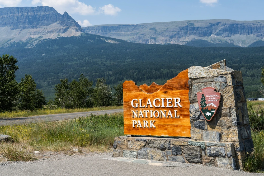 The 30-Year Silence Broken: Why Glacier National Park Just Experienced Its First Fatal Bear Attack Since 1998