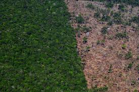 Planetary Solvency: Tipping Points and the Catastrophic Risks of Nature Loss