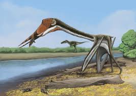 Hell Creek’s Legendary Boneyard: Top 5 Fossil Discoveries