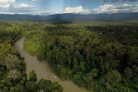 Silence in Mondul Yorn: Cambodia Withholds Water Test Results Months After Mining Pollution Claims