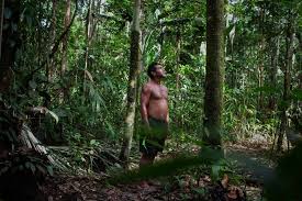 The Heart of Conservation: Why Local Communities Are the New Frontline for Wildlife Protection