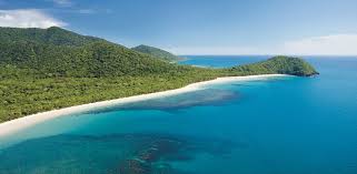 Where the Rainforest Meets the Reef: Exploring the Ancient Wonders of the Daintree
