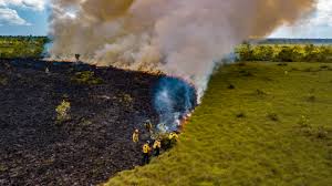The Fire Age: Navigating the New Reality of Global Wildfires