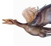 The 300-Million-Year Secret: Why Nature “Invented” Wings Twice (and How It Changed the World)