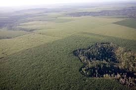 How Australia’s Newest National Park is Solving the Habitat Fragmentation Puzzle