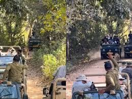 How a National Smartphone Ban is Saving India’s Wildlife Safaris
