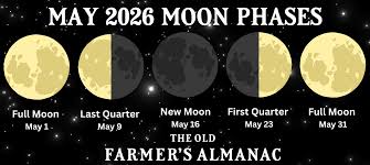 Your 2026 Guide to the Lunar Calendar