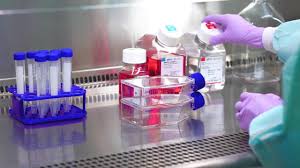 Why the EU’s New Chemicals Policy is a Win for High-Tech Science