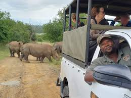 Five Suspects Dead as Anti-Poaching Teams Strike Back