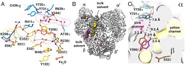 Blueprint-Free Life: Scientists Discover DNA Built Without Templates
