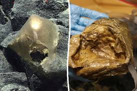 Solved: The Deep-Sea “Golden Orb” Mystery