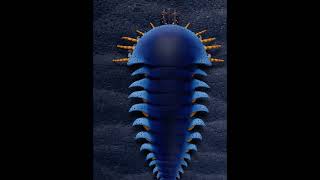The “Spider-Scorpion” Mystery: Fossil Claws Reveal an Ancient Kinship